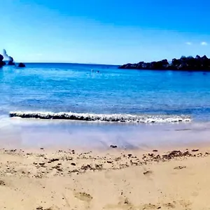 https://luxury-diving-apartment.puertodelcarmen-hotels.org